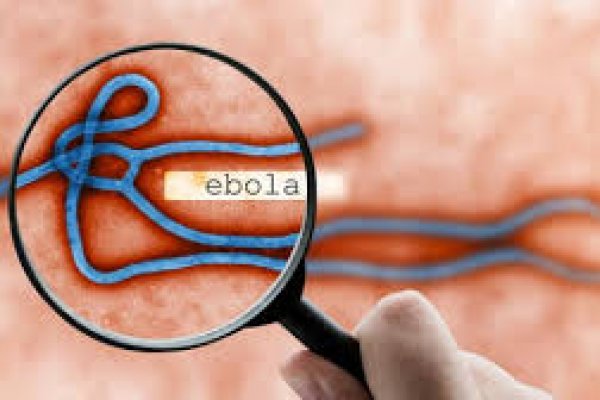 الكونغو الديمقراطية تسجل 71 إصابة جديدة بفيروس “إيبولا”