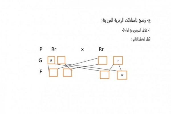 عاجل| نموذج استرشادى لامتحان العلوم لطلاب الشهادة الإعدادية