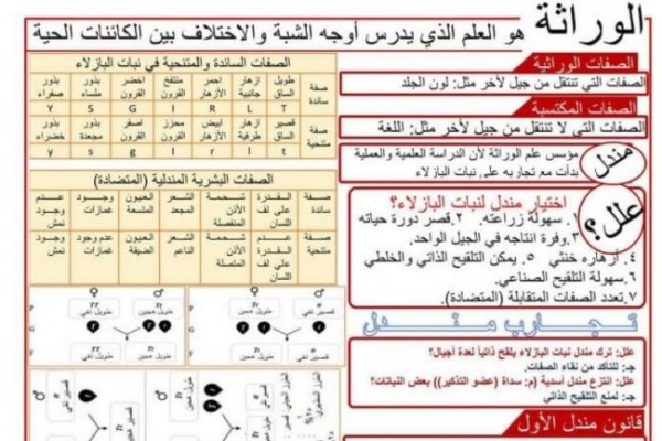 ملخص علوم للشهادة الإعدادية 2026 الترم الثاني..أهم النقاط المتوقعة في الامتحان