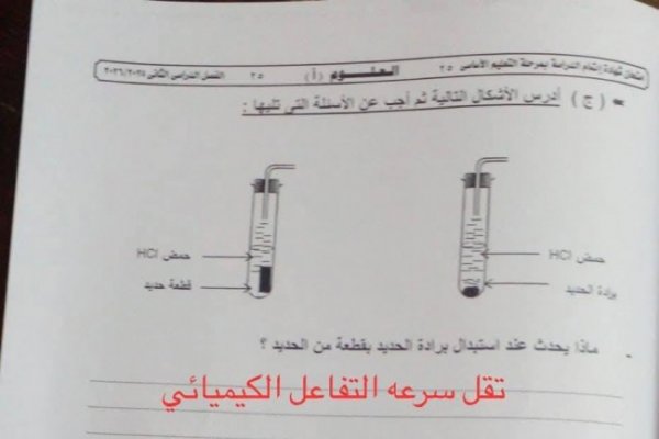 «عربي ولغات».. إجابات امتحان علوم الشهاده الاعداديه 2026 محافظة الجيزة الترم الثاني