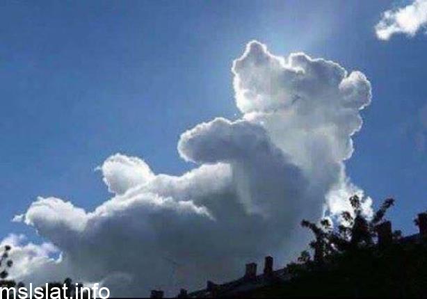 Photo of التي تمشي بلا رجلين وتبكي بلا عينين