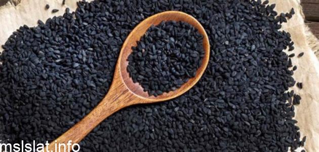 Photo of تجربتي مع الحبه السوداء للحمل