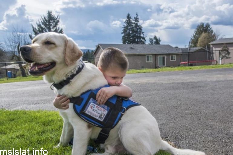 Photo of لماذا يلهث الكلب؟