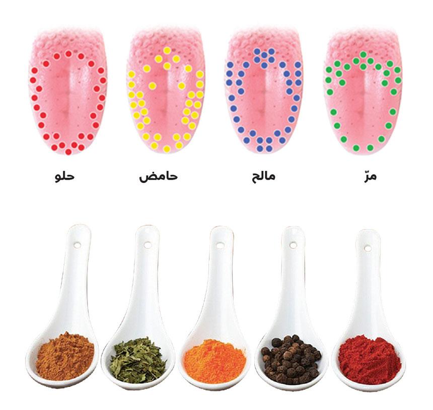 Photo of أحد المذاقات كلمات متقاطعة من 5 حروف