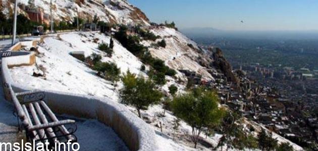 Photo of جبل يطل على دمشق فطحل من 6 حروف
