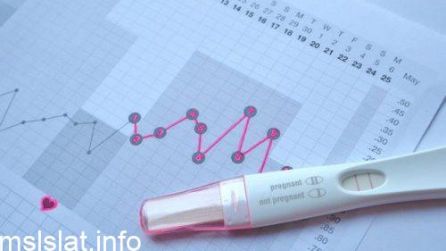 Photo of اعتمادًا على الشكل أدناه، في أي يوم تبدأ عملية الإباضة