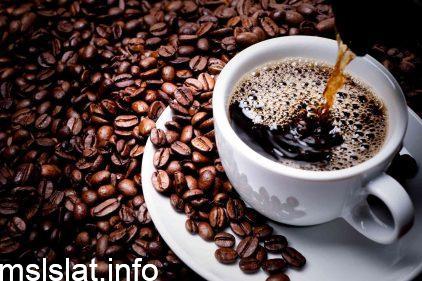 Photo of الراس اللي مابه كيف حلال قطعه