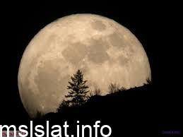 Photo of تبدأ دورة القمر حول الأرض بطور