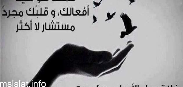 Photo of مقولات وعبارات جميلة وجديدة عن الحياة للنشر