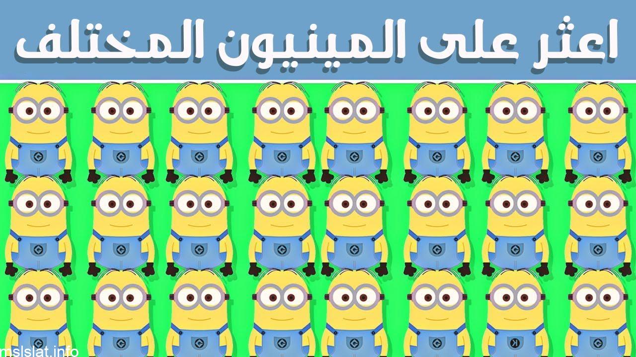 Photo of نخلة صغيرة فطحل من 5 حروف