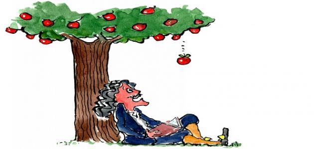 Photo of دفع رجل صندوقاً كتلته 10 kg بقوة مقدارها 100 n احسب تسارع الجسم بوحدة m/s2