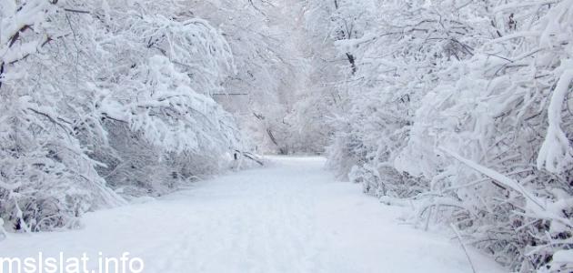 Photo of حل لغز أبيض من الثلج وأسود من الليل يفعله الرجل خمس مرات في اليوم وتفعله المرأة مرة واحدة في اليوم