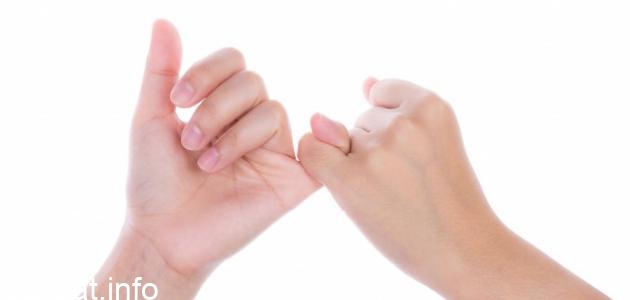 Photo of قطعت ستيلا لونا وعدًا بأنها لن تتعلق من قدميها مرة أخرى هل أوفت بهذا الوعد ولماذا