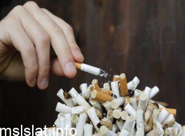 Photo of مقال عن التدخين وأضراره كامل