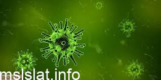 Photo of هل تنطبق نظرية الخلية على الفيروسات