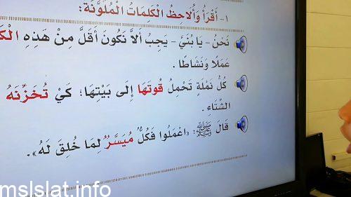 Photo of ياتي الحرف المضعف في اول الكلمه