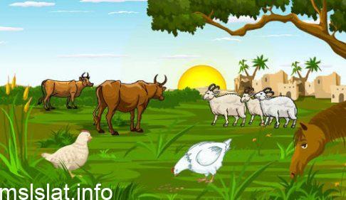 Photo of يتشكل النظام البيئي من