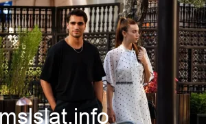 Photo of عدد حلقات مسلسل فريد ويكيبيديا