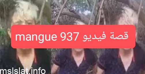 Photo of شاهد فيديو mangue 937 مقطع الطفل البرازيلي