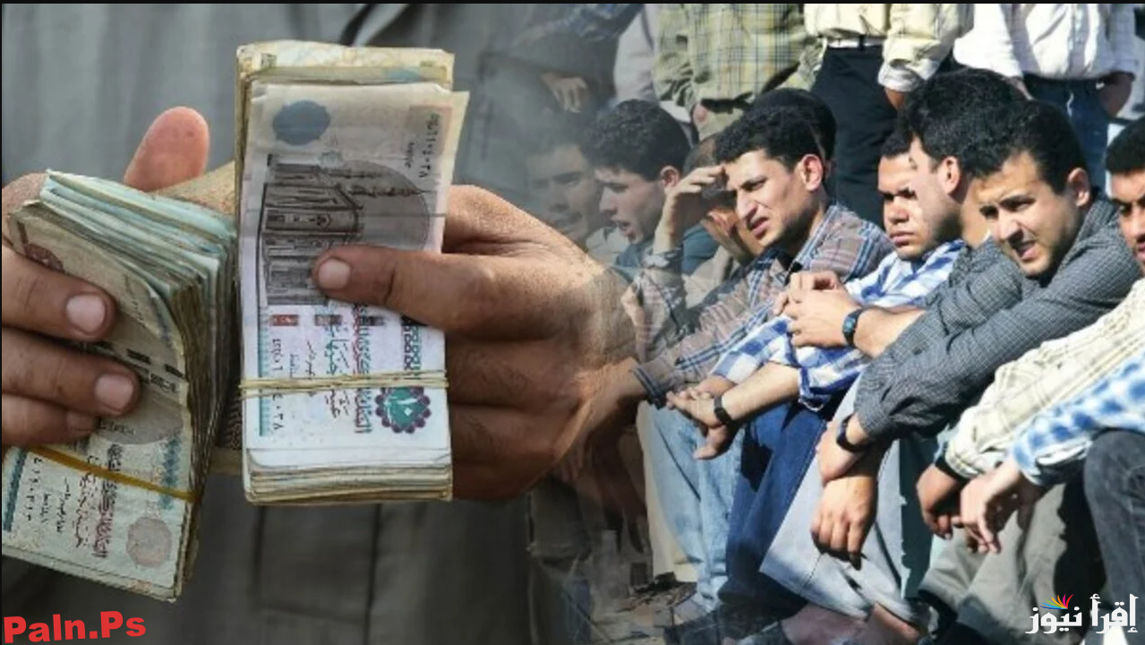 Photo of “بالخطوات” رابط التسجيل في منحة عيد الفطر 2025 عبر الموقع الرسمي للوزارة