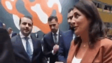 Photo of “غمزة الشيباني” للرئيس الشرع تشعل مواقع التواصل الاجتماعي