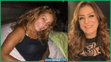 Photo of من هو زوج لمياء الأمير ويكيبيديا السيرة الذاتية