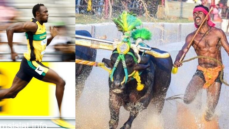 Photo of عامل بناء هندي يحطم رقم العداء العالمي بولت في “سباق الجواميس”