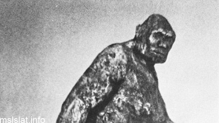 Photo of هل هو إنسان الثلج فعلا