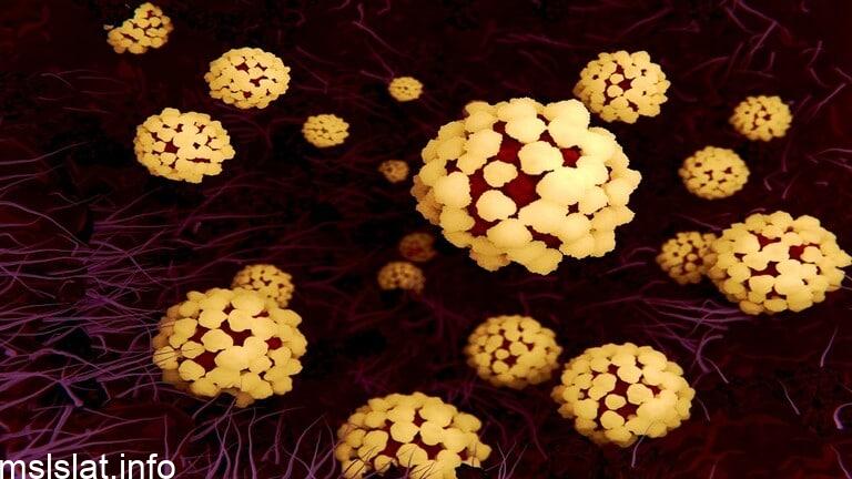 Photo of العلماء يترجمون بروتين فيروس كورونا إلى موسيقى