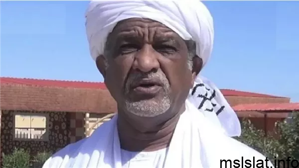 Photo of من هو عبد الباسط حمزة ويكيبيديا