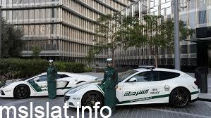 مغتصب المول